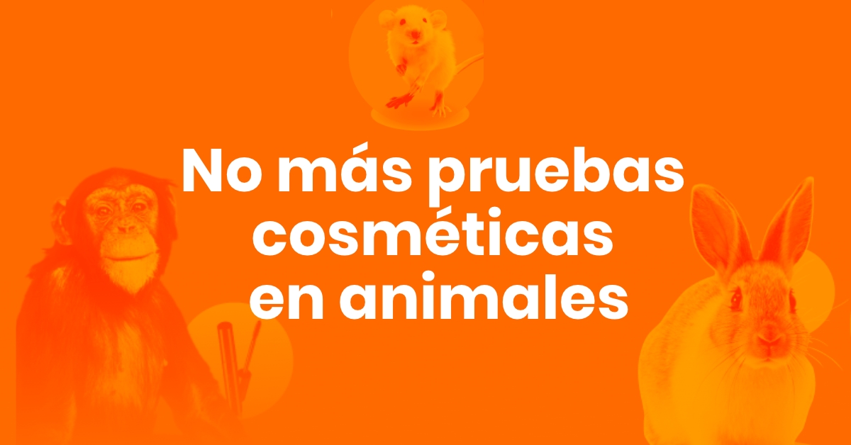 No más pruebas cosméticas en animales